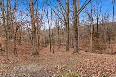 3012 Bethel Church Road, Yadkinville, NC 27055 - Photo 39