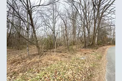 Tbd Pardue Street, Jonesville, NC 28642 - Photo 3