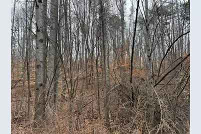 Lot 40 Creekside Way Road, Pinnacle, NC 27043 - Photo 5