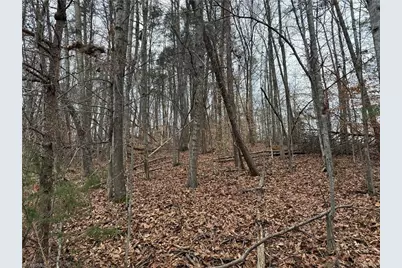 Lot 40 Creekside Way Road, Pinnacle, NC 27043 - Photo 3