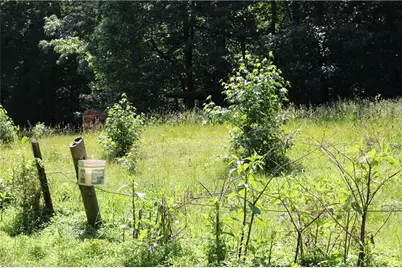 7220 East Fork Road, High Point, NC 27265 - Photo 3