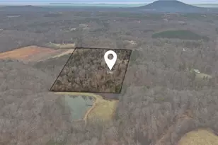 1410 W Old Phillips Rd, Pinnacle, NC 27043 - Photo 41