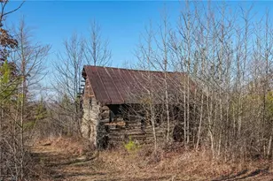 11948 Nc Hwy 87, Eden, NC 27288 - Photo 49