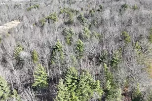 541 Pennell Rd, Moravian Falls, NC 28654 - Photo 39