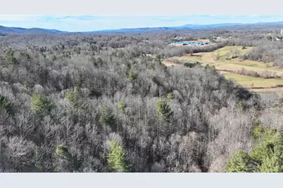 541 Pennell Road, Moravian Falls, NC 28654 - Photo 43