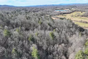 541 Pennell Rd, Moravian Falls, NC 28654 - Photo 43