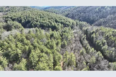 Tbd Big Ivy Road, Purlear, NC 28665 - Photo 9