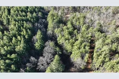 Tbd Big Ivy Road, Purlear, NC 28665 - Photo 45