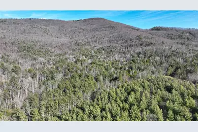 Tbd Big Ivy Road, Purlear, NC 28665 - Photo 19