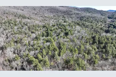 Tbd Big Ivy Road, Purlear, NC 28665 - Photo 33