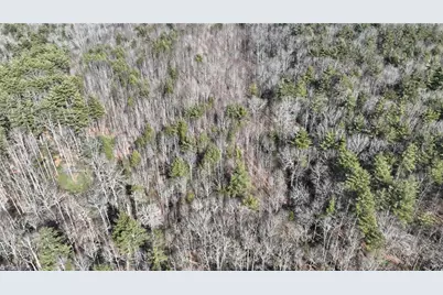 Tbd Big Ivy Road, Purlear, NC 28665 - Photo 31