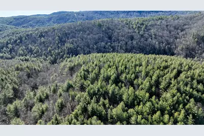 Tbd Big Ivy Road, Purlear, NC 28665 - Photo 47