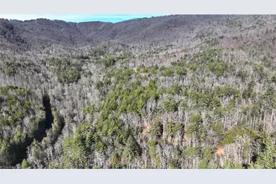 Tbd Big Ivy Road, Purlear, NC 28665 - Photo 21