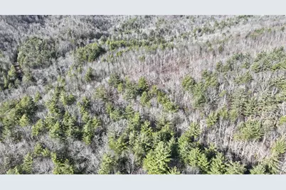 Tbd Big Ivy Road, Purlear, NC 28665 - Photo 39