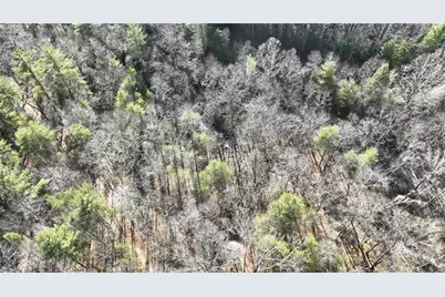 Tbd Big Ivy Road, Purlear, NC 28665 - Photo 7