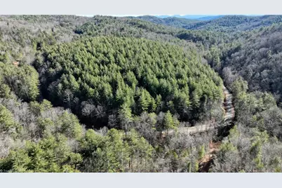 Tbd Big Ivy Road, Purlear, NC 28665 - Photo 13