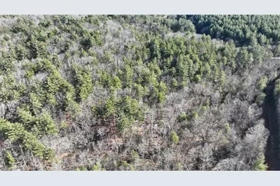 Tbd Big Ivy Road, Purlear, NC 28665 - Photo 29