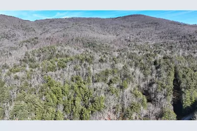 Tbd Big Ivy Road, Purlear, NC 28665 - Photo 15