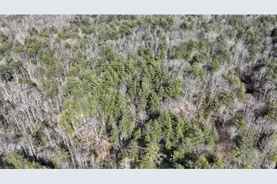 Tbd Big Ivy Road, Purlear, NC 28665 - Photo 17