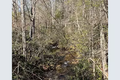 Tbd Big Ivy Road, Purlear, NC 28665 - Photo 49