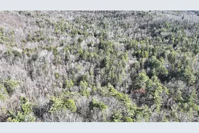 Tbd Big Ivy Road, Purlear, NC 28665 - Photo 41