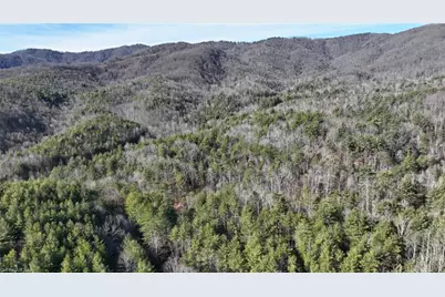 Tbd Big Ivy Road, Purlear, NC 28665 - Photo 25