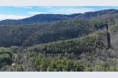 Tbd Big Ivy Road, Purlear, NC 28665 - Photo 37