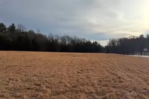 10 29 +/- Acres W Pine St, Mount Airy, NC 27030 - Photo 7