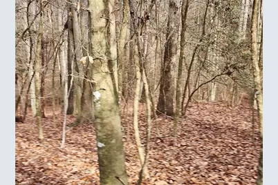 0 Rainbow Trout Drive #14, Hays, NC 28635 - Photo 13