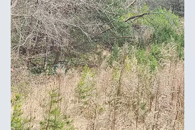 0 Rainbow Trout Drive #14, Hays, NC 28635 - Photo 9