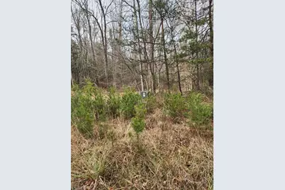 0 Rainbow Trout Drive #14, Hays, NC 28635 - Photo 21