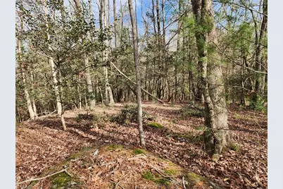 0 Rainbow Trout Drive #14, Hays, NC 28635 - Photo 3