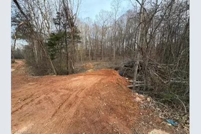0 Booker T Womble Road, Randleman, NC 27317 - Photo 3