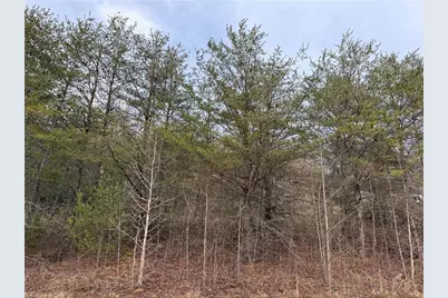 Tbd Mount Zion Road, Ferguson, NC 28624 - Photo 1