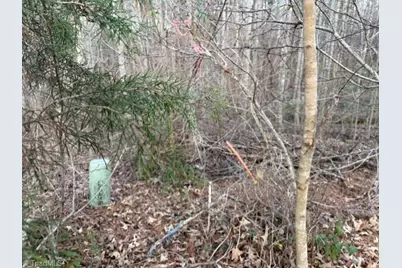 00 Booker T Womble Road, Randleman, NC 27317 - Photo 3