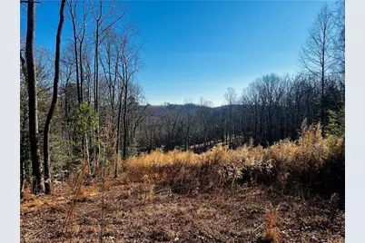 Tbd Holly Springs Road, Mount Airy, NC 27030 - Photo 3