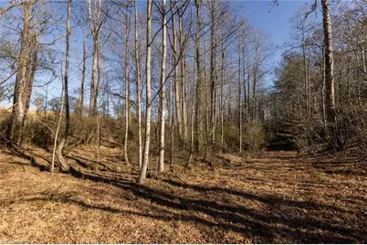Lot 22 Canterbury Drive, North Wilkesboro, NC 28659 - Photo 29
