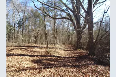 156 Payne Road, Thomasville, NC 27360 - Photo 7