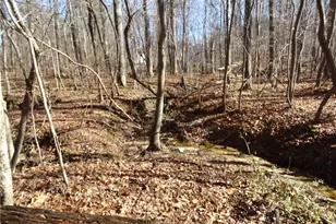 156 Payne Rd, Thomasville, NC 27360 - Photo 11