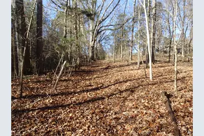 156 Payne Road, Thomasville, NC 27360 - Photo 49