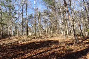 156 Payne Rd, Thomasville, NC 27360 - Photo 19