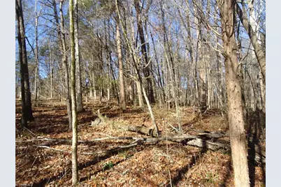 156 Payne Road, Thomasville, NC 27360 - Photo 45