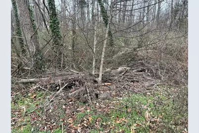 1004 Lashley Park Drive, Gibsonville, NC 27249 - Photo 3