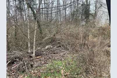 1004 Lashley Park Drive, Gibsonville, NC 27249 - Photo 1