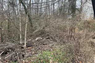 1004 Lashley Park Dr, Gibsonville, NC 27249 - Photo 1