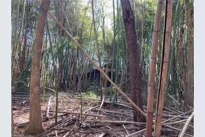 0 Junction Road, Mocksville, NC 27028 - Photo 11