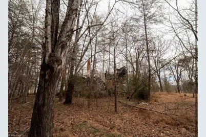 00 Long Hill Road, Pilot Mountain, NC 27041 - Photo 13