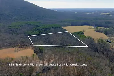 273 Olde Pilot Trail, Pilot Mountain, NC 27041 - Photo 5