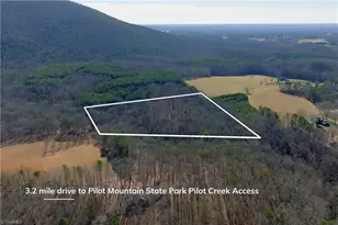 273 Olde Pilot Trail, Pilot Mountain, NC 27041 - Photo 5