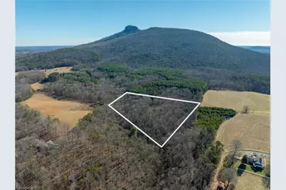 273 Olde Pilot Trail, Pilot Mountain, NC 27041 - Photo 23